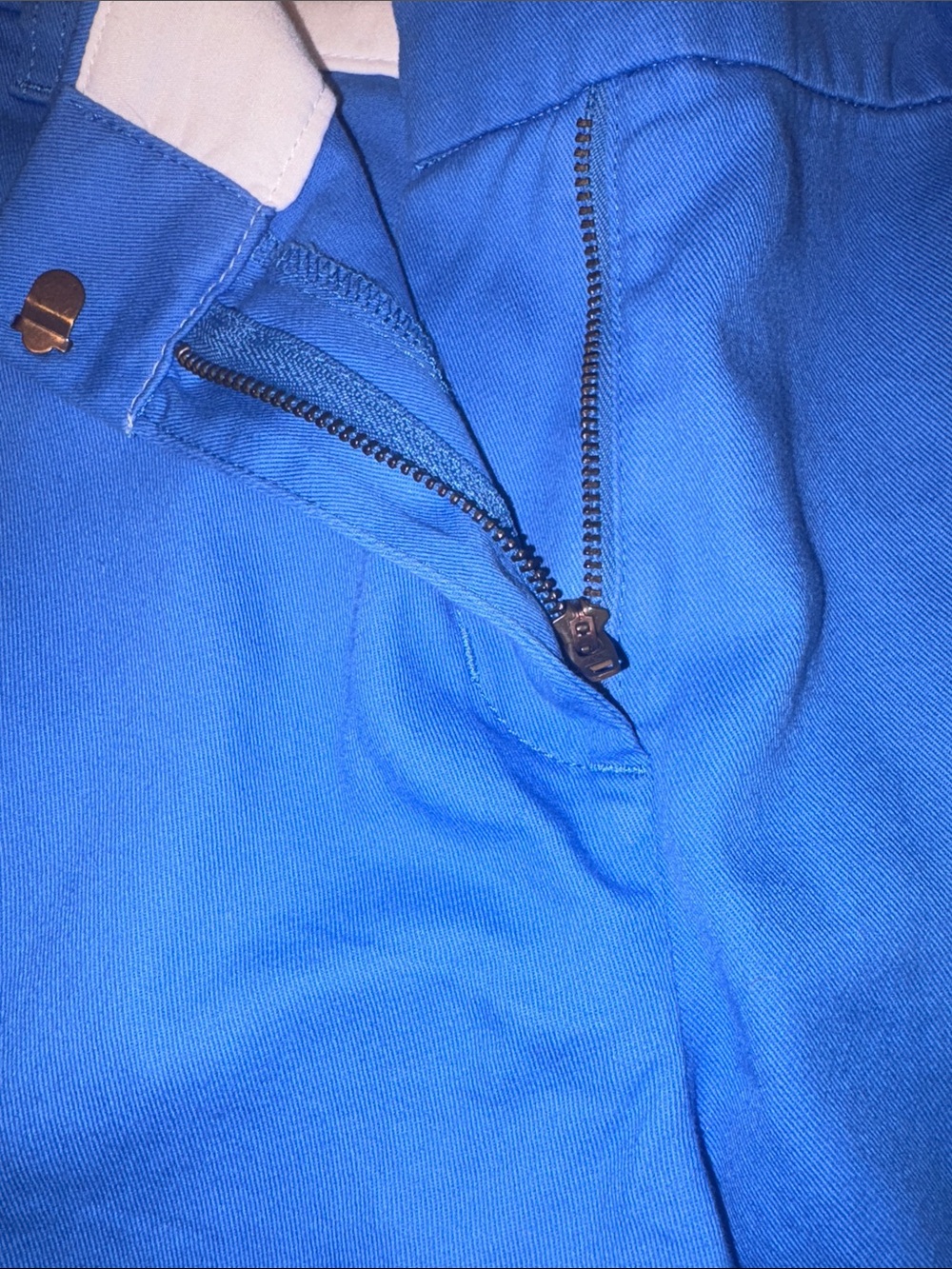 J. Crew Factory Bright Blue Women's Cotton Shorts - Picture 7 of 8